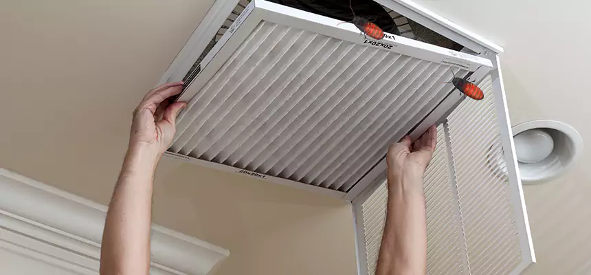 Preventive Cockroach-Proofing for Ducts in Matthews