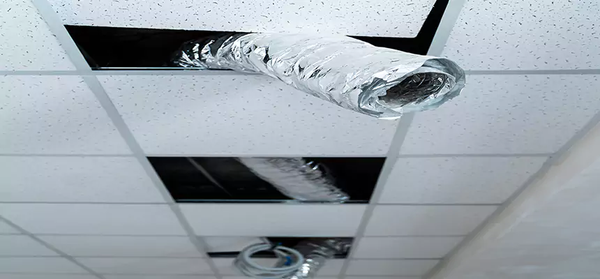 Affordable HVAC Sanitizing After Pest Removal in Matthews