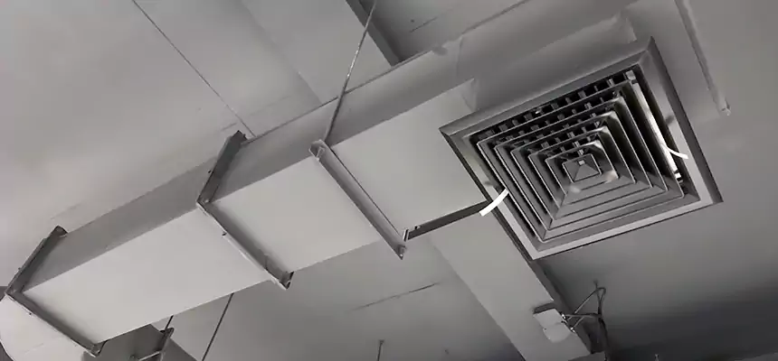 Our Pest Removal From Ducts Services in Matthews, NC