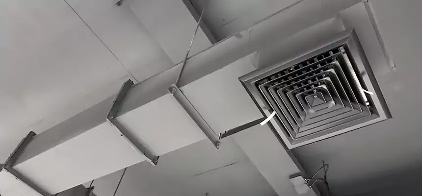 Our Rodent Droppings In Vents Services in Matthews, NC