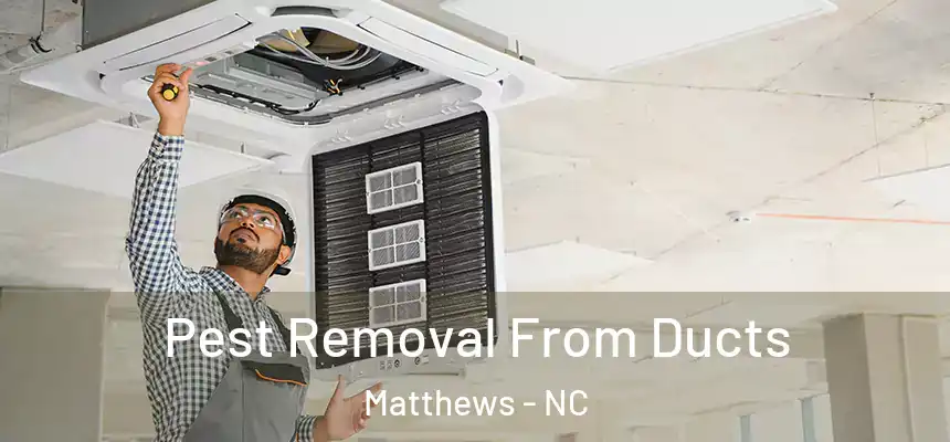 Pest Removal From Ducts Matthews - NC