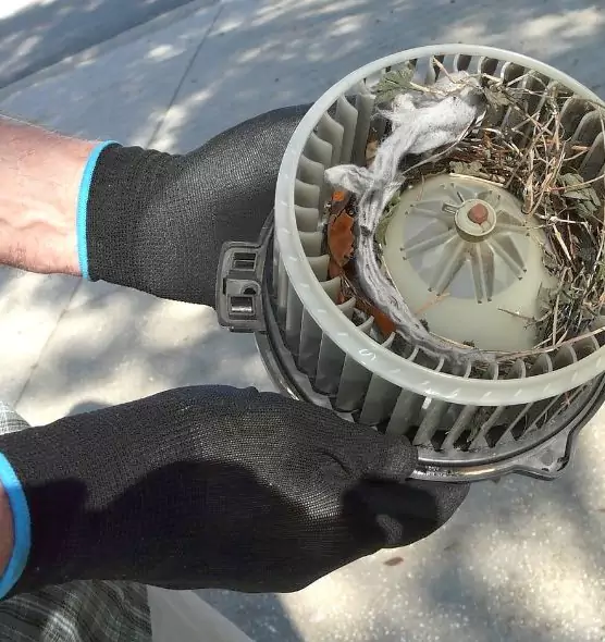 About Air Duct Rat Removal in Matthews, NC