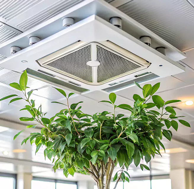 Why Homeowners & Businesses Trust Us in Matthews, NC?